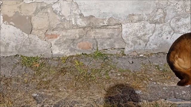 Солнечный осенний день смотреть онлайн