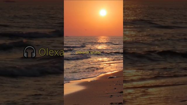 Gorgeous Morning! Golden Sunrise, Sea Waves, Seagulls, Beach & Relaxing Music смотреть онлайн