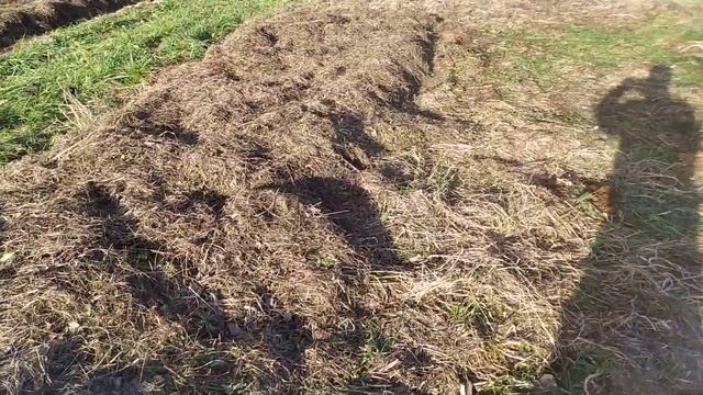 Мой способ перевозки сена на волокуше. смотреть онлайн