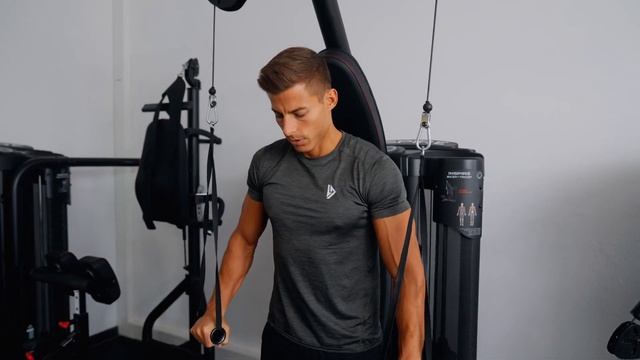 Dual Station Biceps/Triceps | Hocheffektives Bizeps- und Trizepstraining | INSPIRE by HAMMER