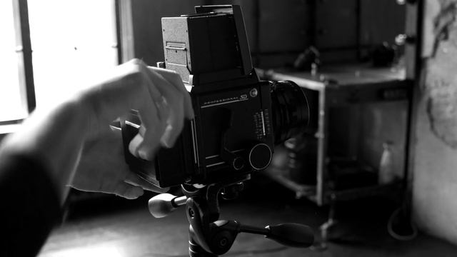 Просроченная пленка Kodak Portra 400 BW смотреть онлайн