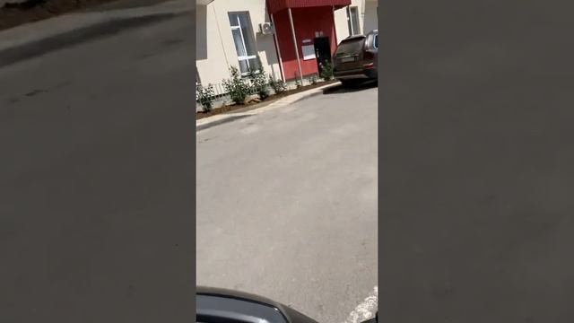 Обзор на Хонда Дио 18 смотреть онлайн