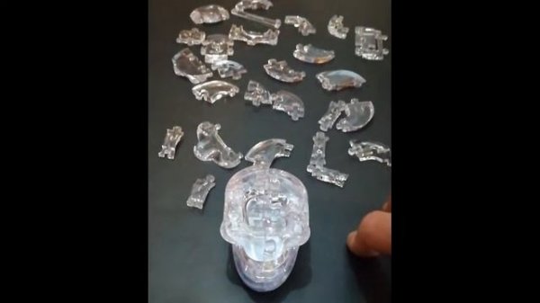 Crystal 3D puzzle skull