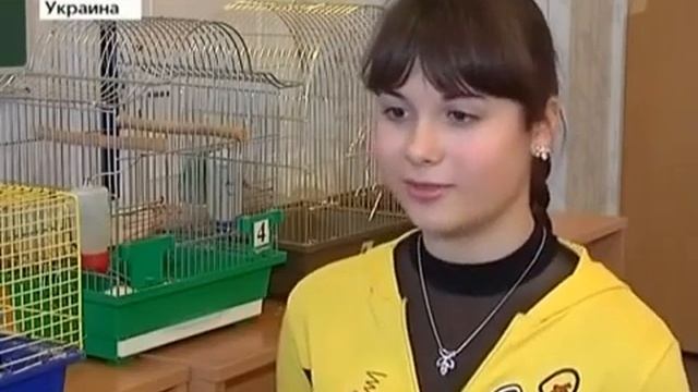 ВРЕД чипсов,сухариков и фаст фуда. смотреть онлайн