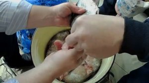 Солим рыбу  Белоглазка  Густера