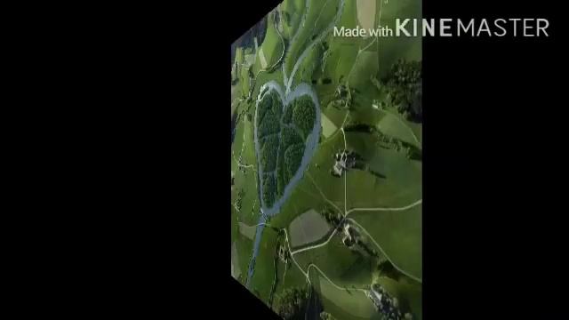 Картинки шутки природы смотреть онлайн