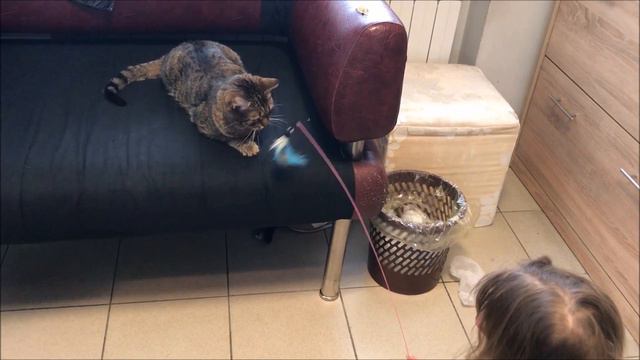 ВЛОГ КОТОКАФЕ - Кафе с кошками - Котокафе видео смотреть онлайн