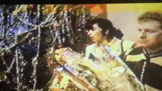 Из моего архива. Свадьба Николаева Сергея и Фаины. 20 лет спустя. смотреть онлайн