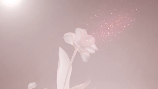 Zoghaib&Sons - Tulip Collection смотреть онлайн