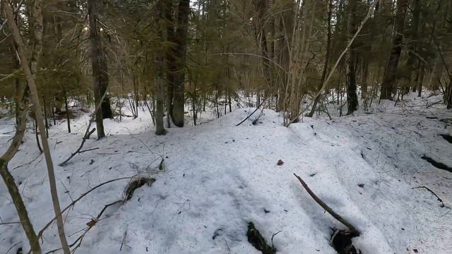Лес 47 Крево Восток-4. Большая русская траншея Т37 Б. Часть 1 смотреть онлайн