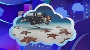 ✨Спокойной ночи, малыши✨ №101/2023 Морские звезды