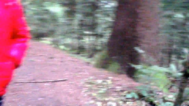 Розлуч.Карпати.Джерело води "Нафтуся" смотреть онлайн