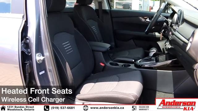 2019 Kia Forte EX (Grey) - Feature смотреть онлайн