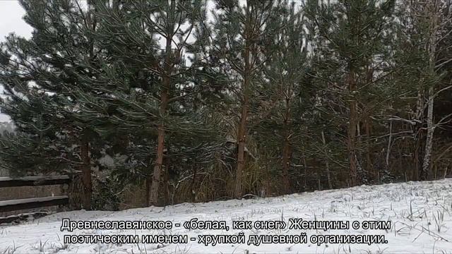 Значение имени Снедана. Толкование, судьба, характер смотреть онлайн