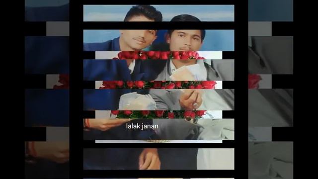 Lalak tiger safeer janan смотреть онлайн