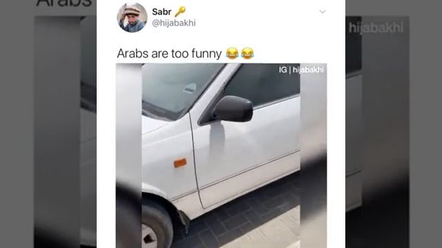 Arab 1999 Toyota Camry Aka Snow White My Queen | 3 Horses 1 Hamar