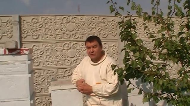 Что делать в августе обзор сезона. смотреть онлайн
