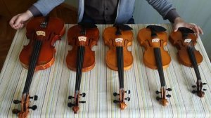 Как выбрать скрипку Ч.1: первое, что нужно знать - размер скрипки