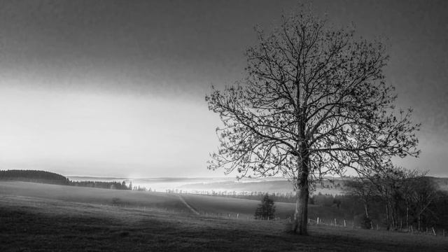 Chris Standring-The Gist Of You