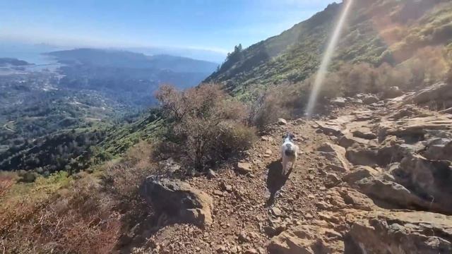 ОБОСТРЕНИЕ...ОСЕНЬ СЛОЖНАЯ ПОРА смотреть онлайн