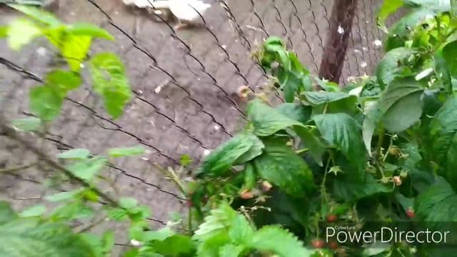 золотые руки простого деревенского мужчины. смотреть онлайн