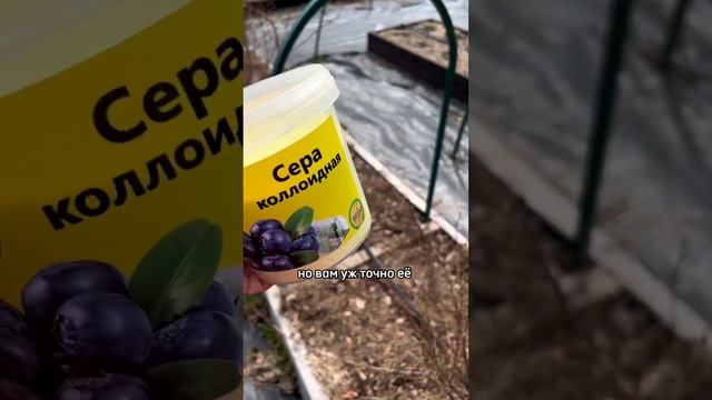 Коллоидная сера смотреть онлайн