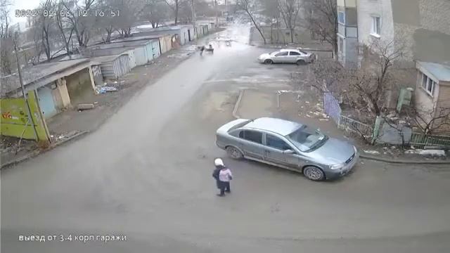 Стая собак напала на ребёнка смотреть онлайн