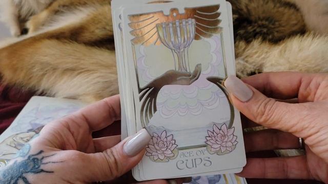 Ethereal Visions Tarot ~ Walkthrough смотреть онлайн