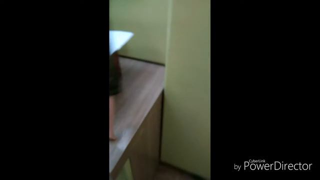 Мини VLOG: КоКо заболел непонятной болезнью копытца! Идём к ветеринару! смотреть онлайн