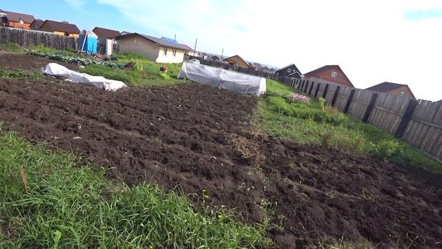 ЗИМА ПРИБЛИЖАЕТСЯ / НЕТ ПОГРЕБА, КУДА ДЕВАТЬ КАРТОШКУ / СТРОЮ ДОМ В ДЕРЕВНЕ смотреть онлайн