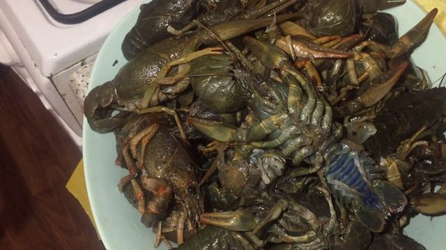 Поваренная книга