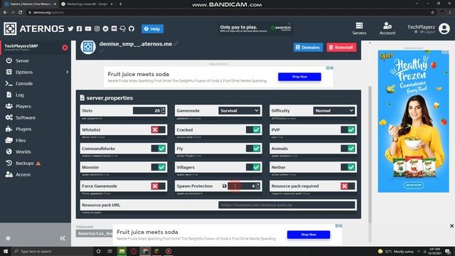 How to Make The Demise SMP in Aternos.org смотреть онлайн