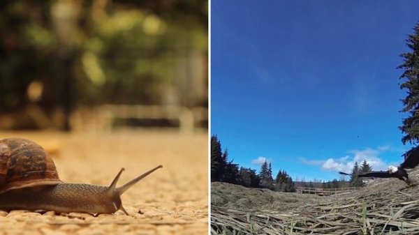 Comparative Adjectives Game | ESL Guessing Game