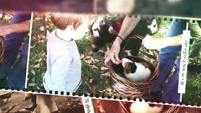 Слайд-шоу воспоминаний о старых фильмах из моего детств | old film memories from my childhood смотреть онлайн