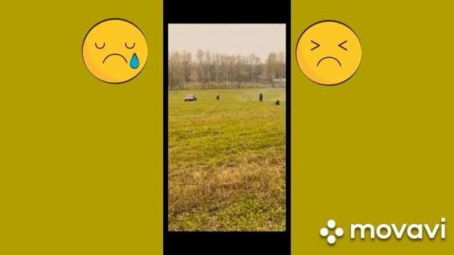 Слив видео Литвин поджог машину за 13 миллионов смотреть онлайн