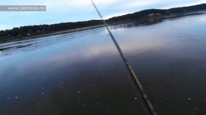 Чехонь на сбирулино (бомбарду)