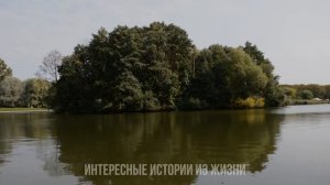 ПОДМАХИВАЛА СВОИМ ПЕРЕДКОМ ПОД СТОЛОМ. Измена девушек. Жизненные истории и аудио рассказы