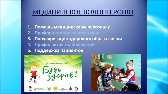 Основные сферы волонтерства смотреть онлайн