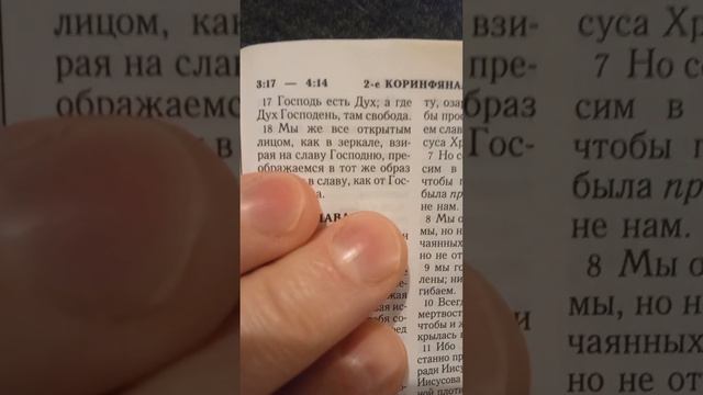 ПОДВИГОМ ДОБРЫМ Я ПОДВИЗАЛСЯ, ПУТЬ ПРОБЕЖАЛ, ВЕРУ СОХРАНИЛ..... смотреть онлайн