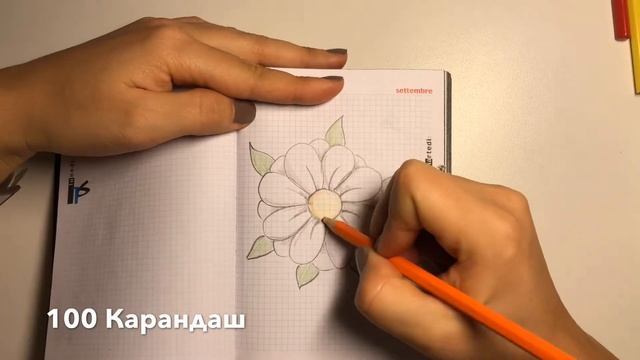 Нарисовать ромашку смотреть онлайн