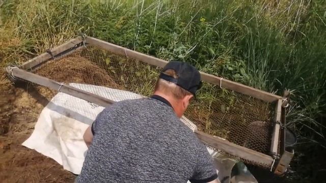 Как заработать в деревне? Деньги у нас под ногами!!! смотреть онлайн