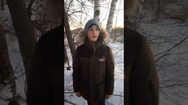 Анисимов Даниил Валерьевич, 15 лет. 'Поёт зима - аукает' С. А. Есенин смотреть онлайн