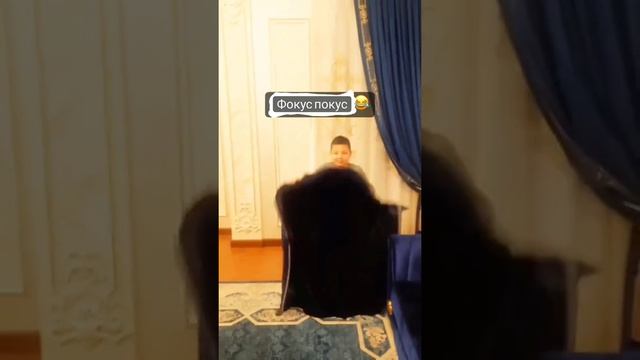 фокус покус смотреть онлайн
