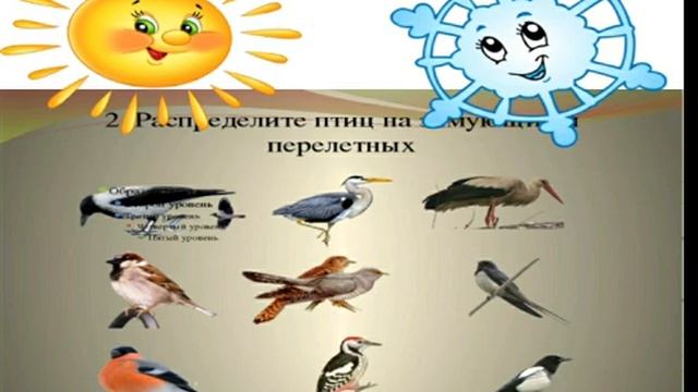 Птицы -наши друзья! смотреть онлайн