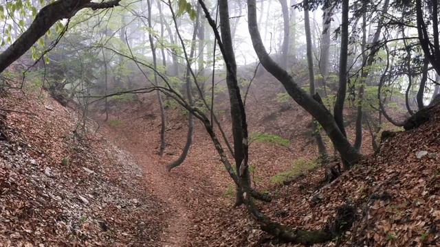 Таракташ тропа, плато Ай Петри, Ялта смотреть онлайн