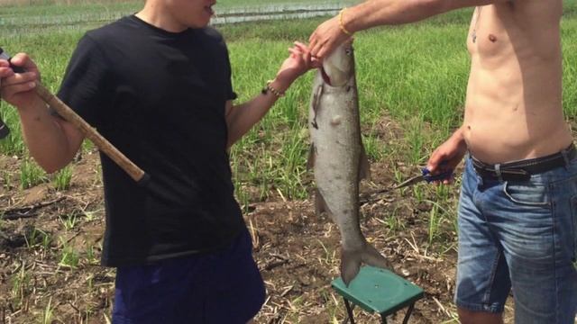 Рыбалка в Астрахани смотреть онлайн