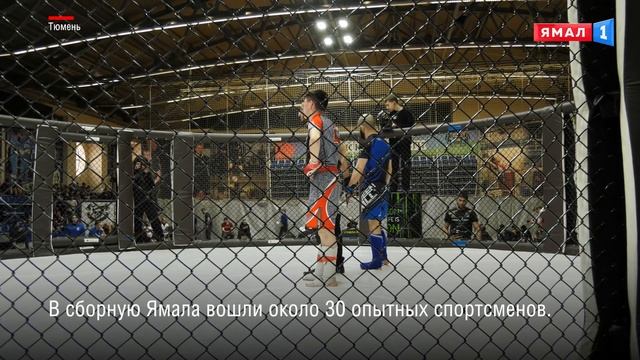 В Тюмени прошел чемпионат и первенство УрФО по смешанным единоборствам смотреть онлайн
