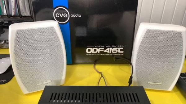 Видео демонстрация корпусных настенных двухполосных акустических систем CVGaudio ODF416TW