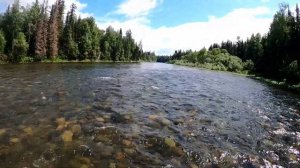 кизир, ничка, шинда,нырда, первый порог, летняя рыбалка на водомете