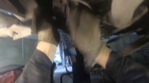 Ford. Maverik. Замена задних пружин и амортизаторов.